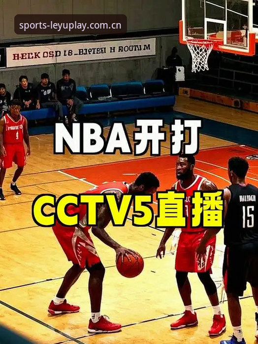 乐鱼体育NBA直播体验详解：从观看方式到版本优化全攻略