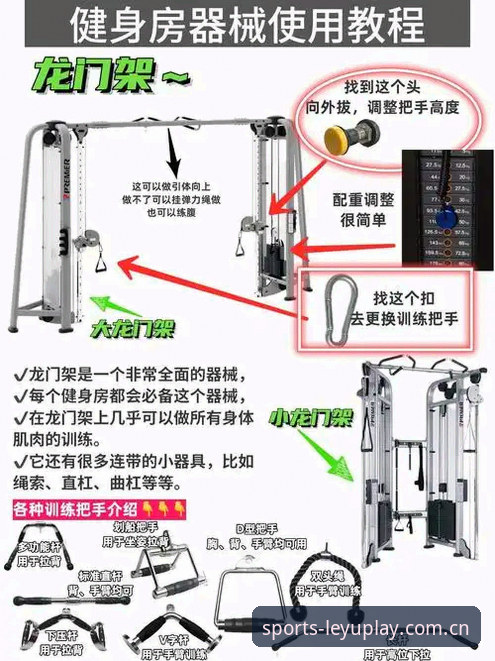 乐鱼体育专业数据攻略新手使用指南：从下载到数据分析的完整教程